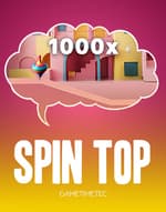 Spin Top