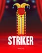 Striker