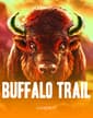 Buffalo Trail