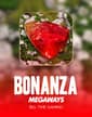 Bonanza Megaways