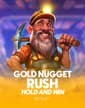 Gold Nugget Rush - Hold and Win
