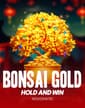 Bonsai Gold Hold & Win