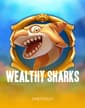 Wealthy Sharks